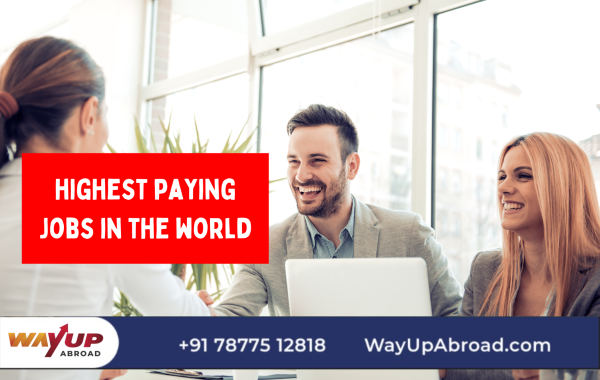 1730181525highest paying jobs in the world.png
